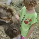 Day Camp at Touchstone Farm