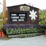 House by the side of the road