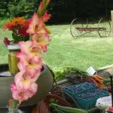 Comstock Family Farm