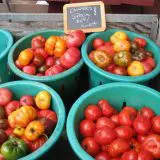 Farm Store - Stonewall Farm