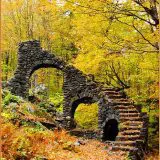 Madame Sherri Forest