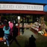 McLeod Bros. Orchards