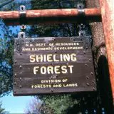 Shieling Forest