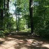 Swanzey Lake Camping Area