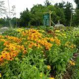 Tracie's Community Farm, LLC