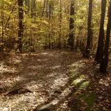 Wantastiquet Natural Area