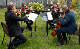 a four person string ensemble plays music on a beautiful summer evening