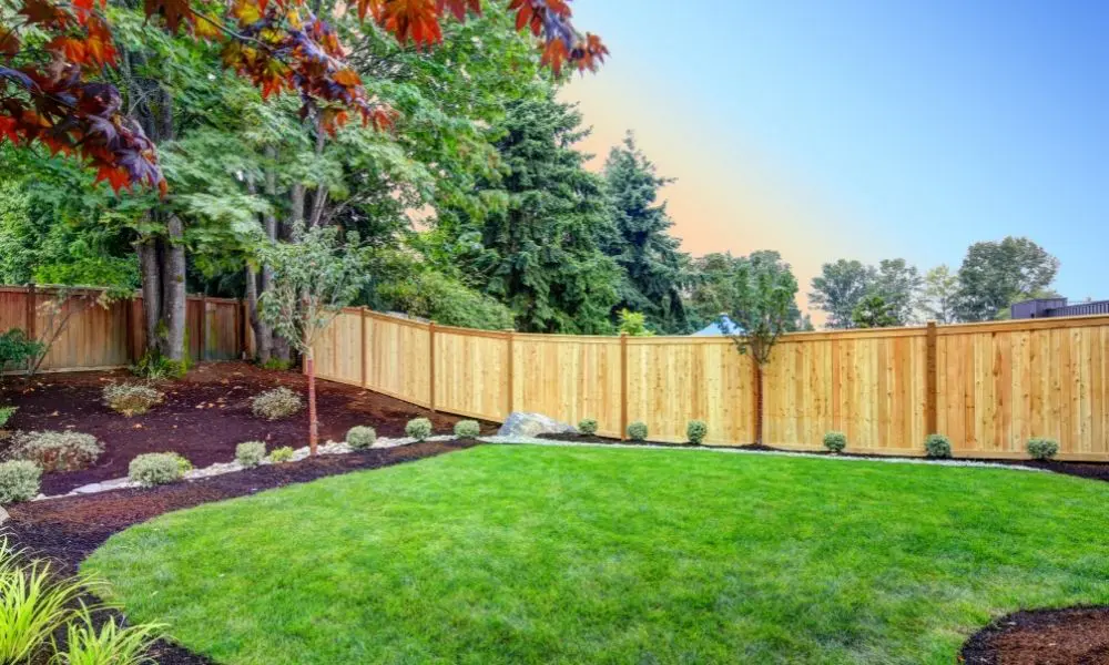 Tips for Making Your Backyard More Private