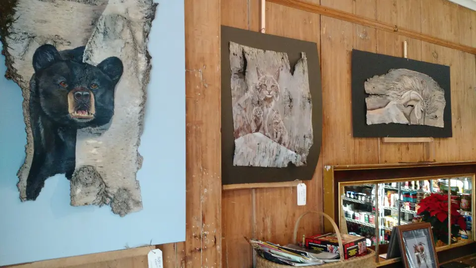 JulieGargan_HarrisvilleGeneral