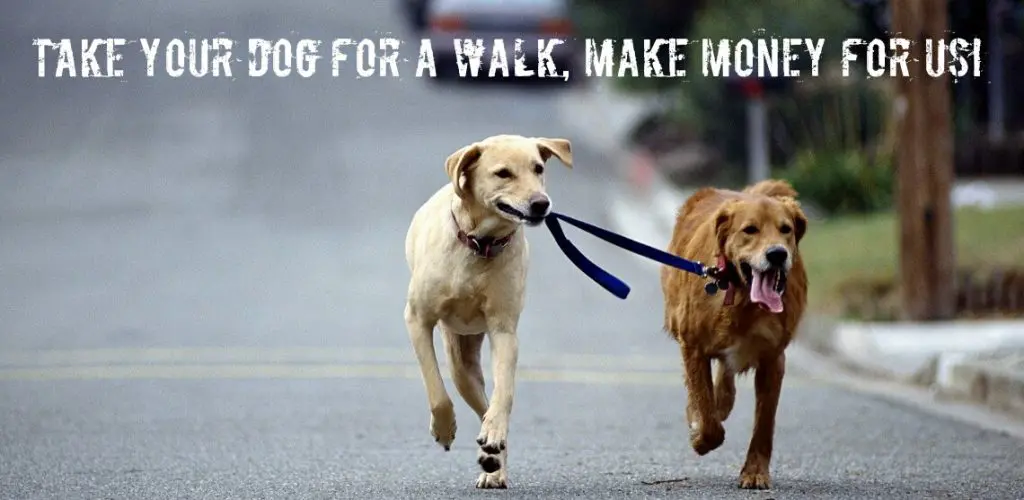 Gift_MonadnockHumaneSociety