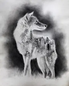 NYC Coyote  graphite
