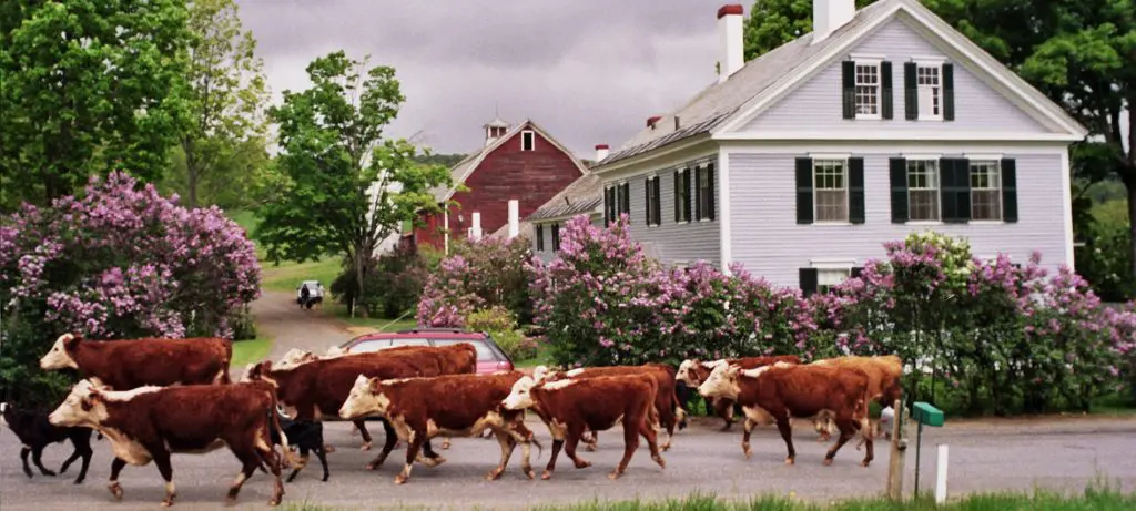 innatvalleyfarm_WalpoleMain