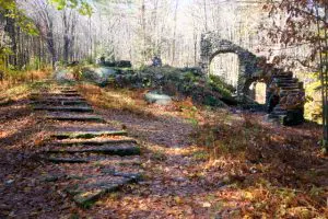 Madame Sherri's Forest