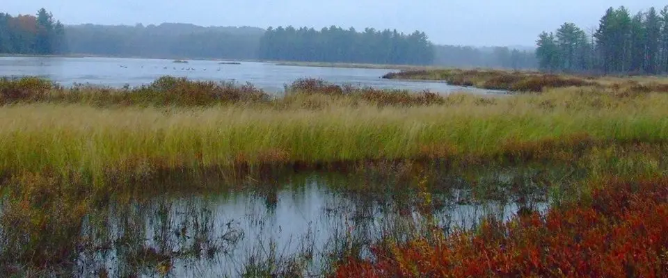 Gift_MonadnockConservancy