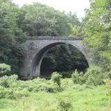 picturesque photo of stone arch bridge surrounded by green foliage