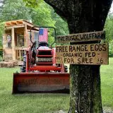 wooden sign posted to tree with tractor and wooden farmstand in background