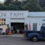 white building with pelloni farm written on the front