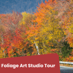 fall foliage trees along a mountain road