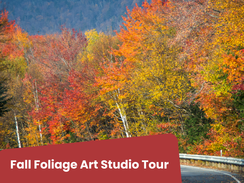 fall foliage trees along a mountain road