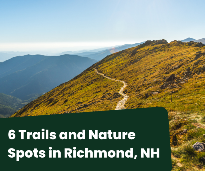 mountain trail with a scenic view of the landscape