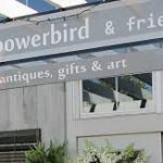 Bowerbird & Friends