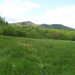 Crotched Mountain