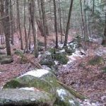 Fox State Forest