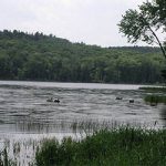 Heald Tract