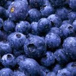 Hi-Berry Farm