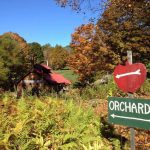 Maple Lane Farm