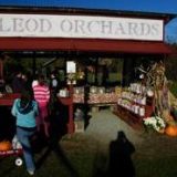 McLeod Bros. Orchards