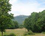 Monadnock State Park Campsites