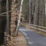 Old Railway Trail
