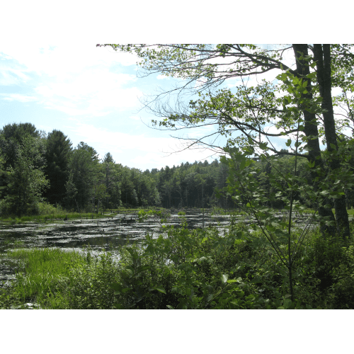 Hinsdale Discover Monadnock