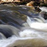 Wales Preserve