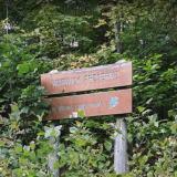 Sign of the Warwick Preserve, Nature Conservancy, surrounded by leaves